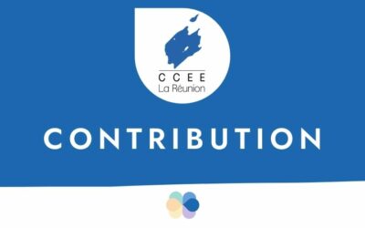 Contribution du CCEE sur la programmation pluriannuelle de l’énergie 2015