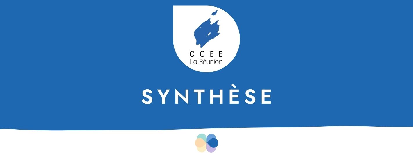 Synthèse des activités du CCEE 2004-2009