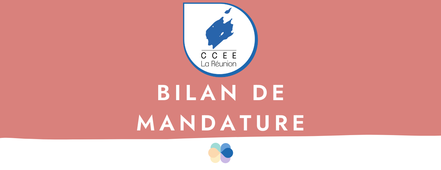 Bilan de la mandature du CCEE 2011-2017