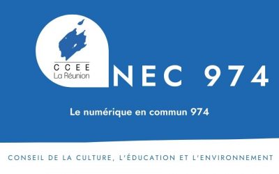 NEC 974 (Numérique en commun 974) 2018