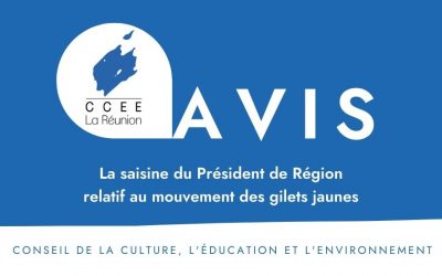 Avis CCEE sur la saisine du Président de Région relatif au mouvement des gilets jaunes 2019