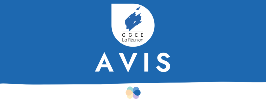 Page de couverture du document du CCEE intitulé Réflexions sur la trajectoire ZAN 2050 à La Réunion, validé en Bureau le 28 août 2025