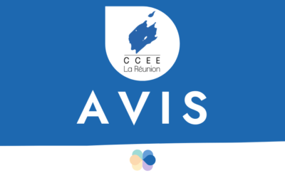 Avis du CCEE sur les orientations budgétaires de la Région Réunion pour l’exercice 2018