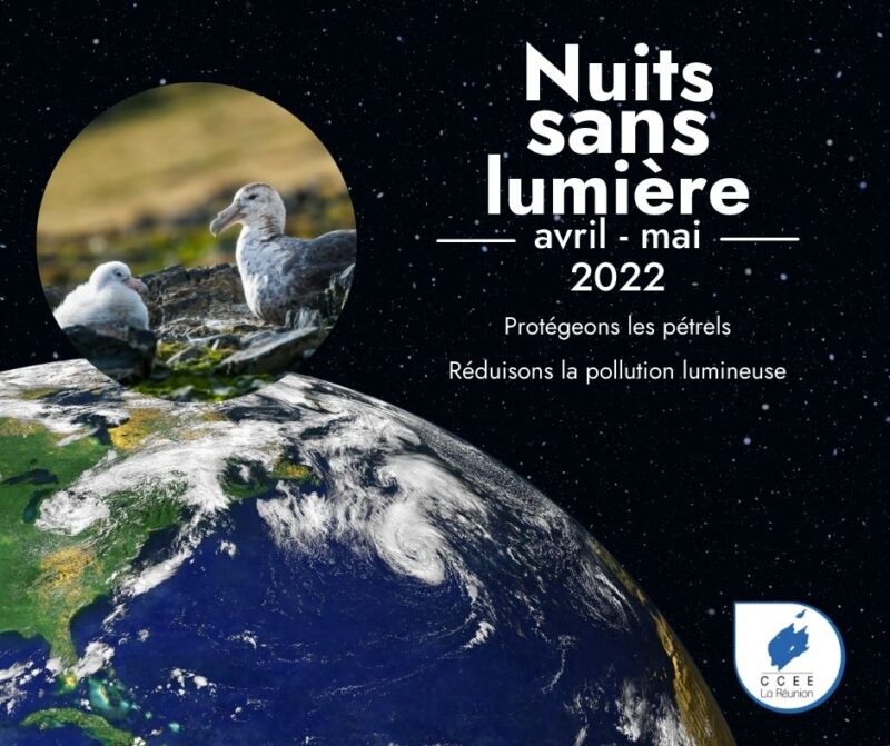 Nuits sans lumière 2022