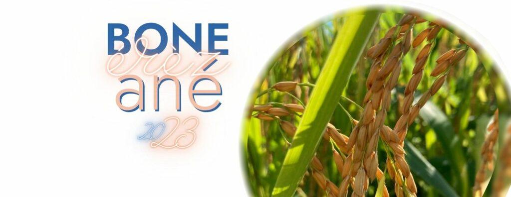 Bone érèz ané 2023 accompagné d'une photo d'un plan de riz réunionnais