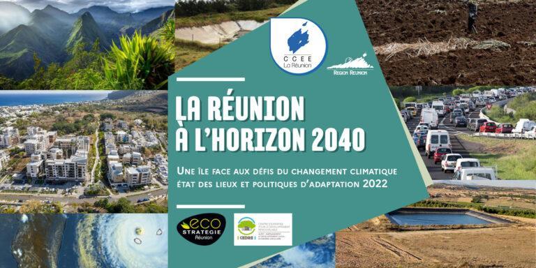 Une île face au changement climatique. État des lieux et politiques d’adaptation