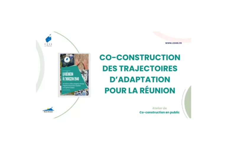 La Réunion à l’horizon 2040, Atelier de co-construction