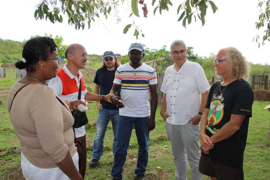 Groupe de participants discutant en extérieur, sous un arbre, lors d’un événement convivial.
