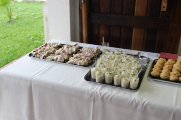 Table dressée avec des plateaux de bouchées salées et des verrines pour un buffet, près d’une ouverture donnant sur un espace vert.