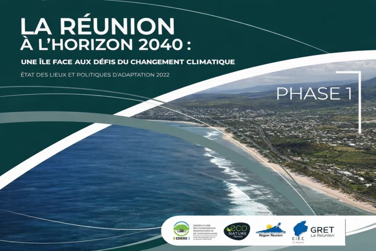 Une île face au changement climatique. État des lieux et politiques d’adaptation