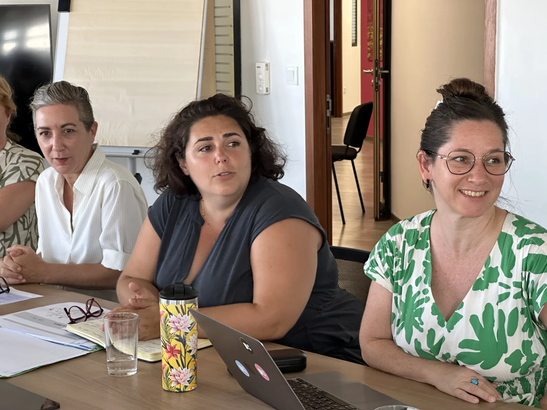 Arts visuels à La Réunion : une réflexion relancée pour mieux structurer la filière